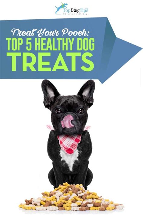 most healthy dog treats for weight loss